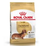 dachshund-adulto-2-5-kg