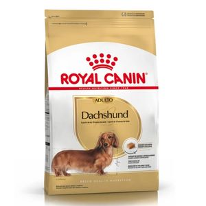 Dachshund adulto 2,5 KG