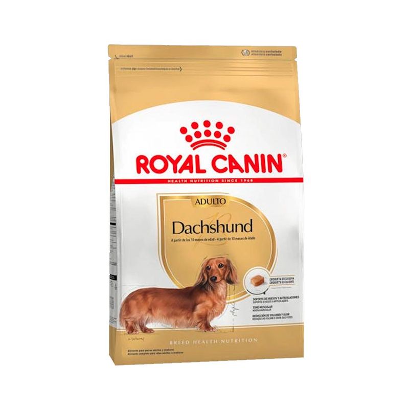 dachshund-adulto-2-5-kg