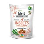 brit-crunchy-snack-insects-with-salmon-200-gr
