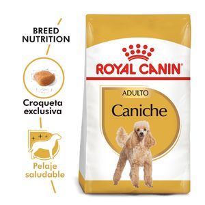 Royal Canin Mini Poodle Adulto 3kg