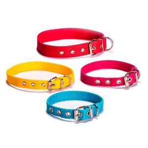 Collar nylon N4 56cm