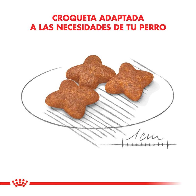 Royal-Canin-Mini-Adulto---3-Kg.