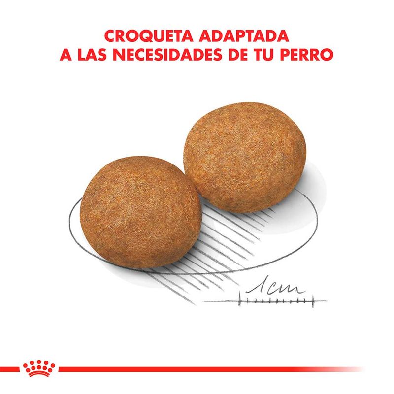 Royal-Canin-Medium-Adulto---15-Kg.