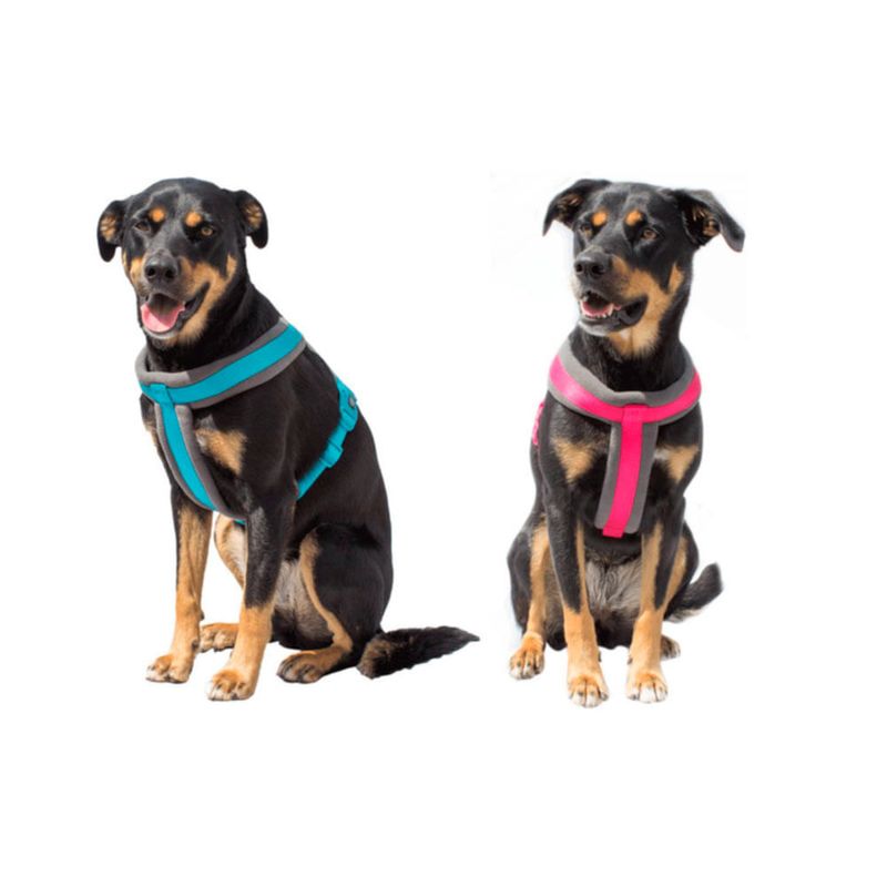 arnes-trixie-rojo-y-azul-con-perros