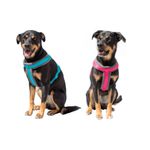 arnes-trixie-rojo-y-azul-con-perros