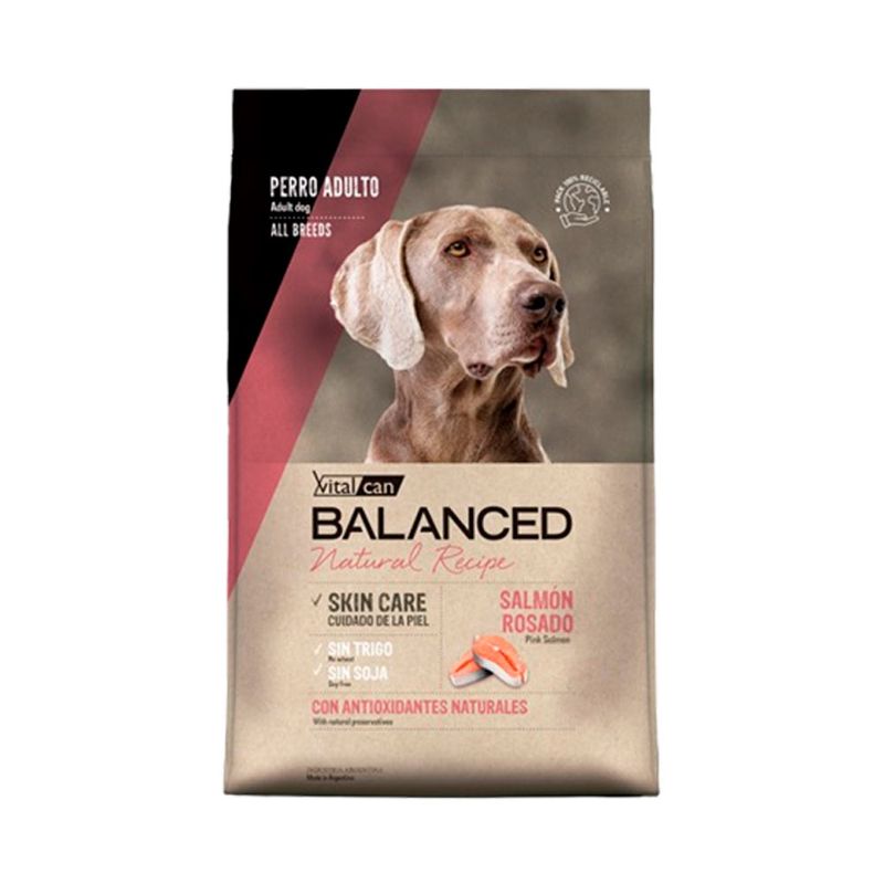 balanced-perro-salmon-recipe