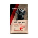 balanced-recipe-adulto-carne