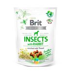 brit-rabbit