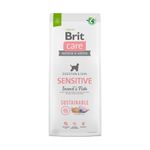 BRIT-SENSITIVE