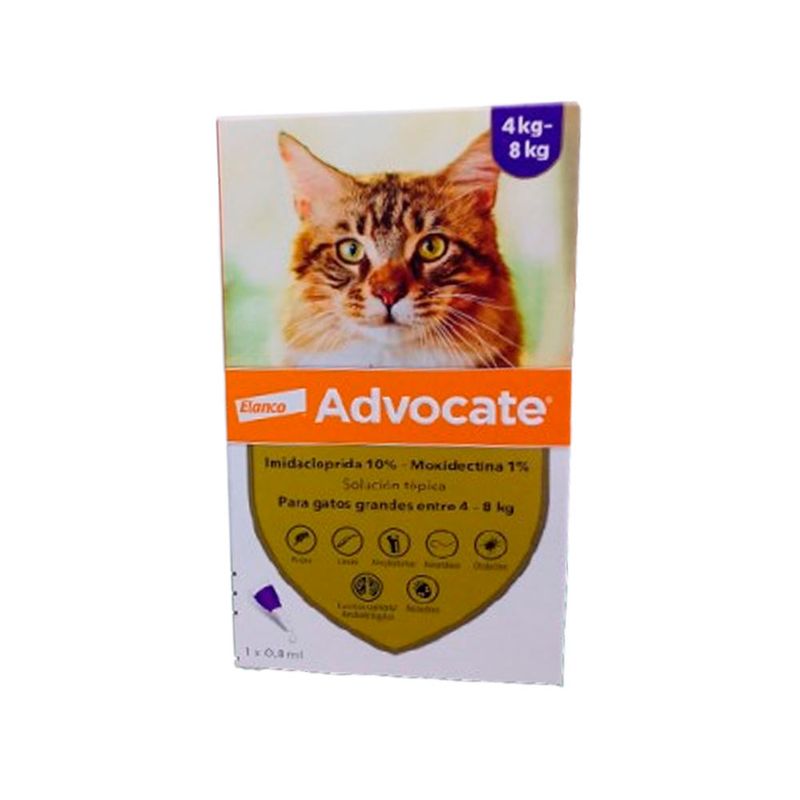 advocate