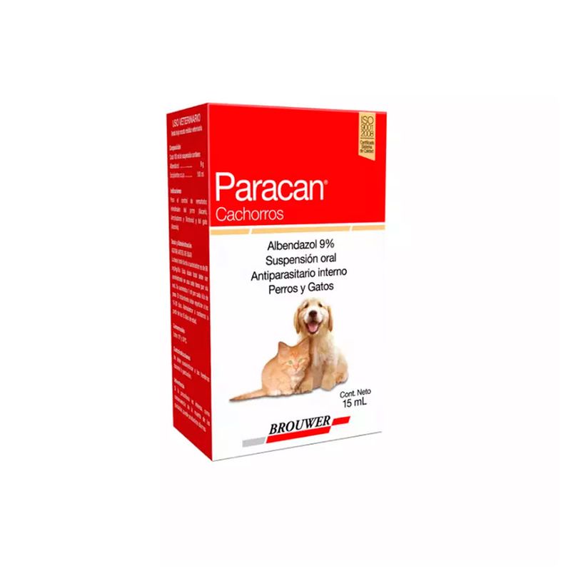 paracan-cachorro-perro-y-gato