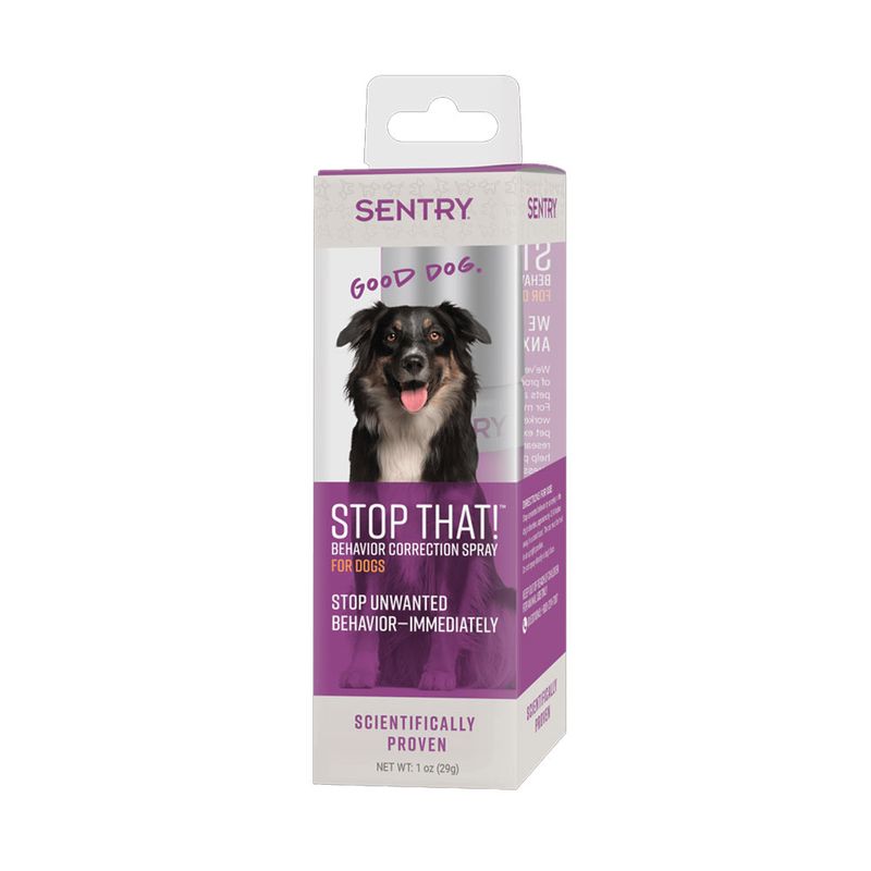 sentry-stop-that.jpg