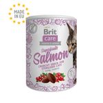 superfurit-salmon-cat-brit.jpg