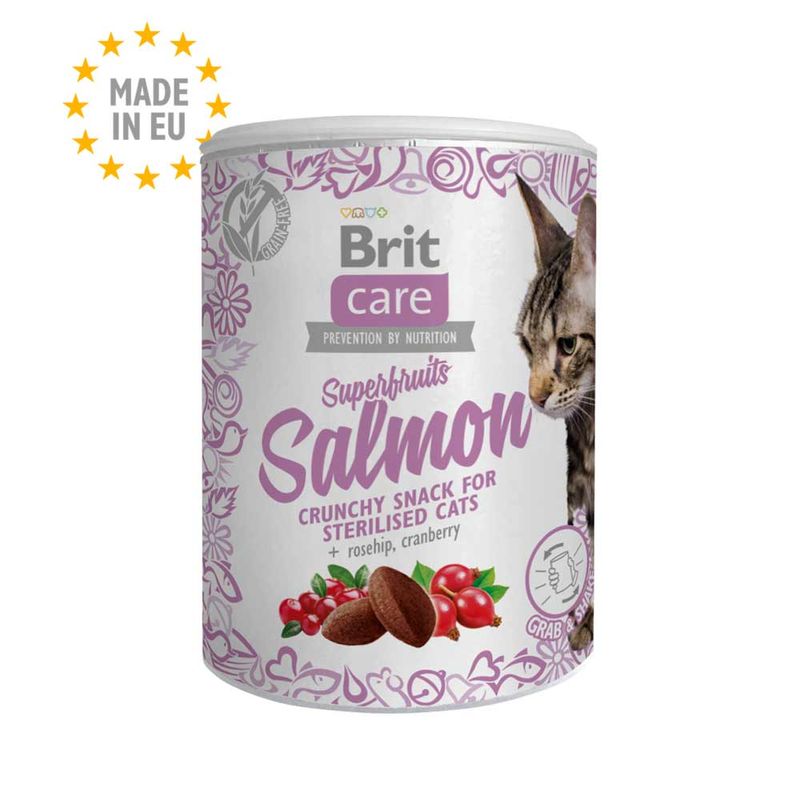 superfurit-salmon-cat-brit.jpg