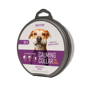Sentry calming collar dog
