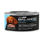 85-perro-adulto-carne.jpg