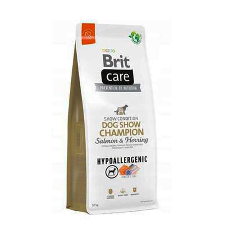 brit-dog-show-champion