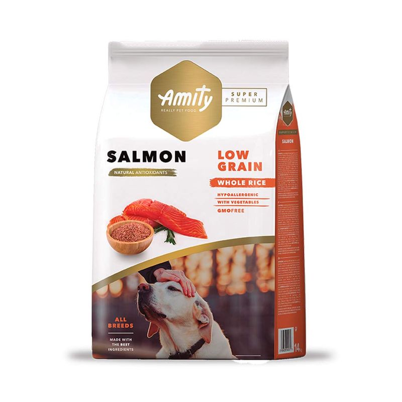 amyty-salmon-perro-adulto