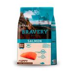 bravery-large-salmon-puppy