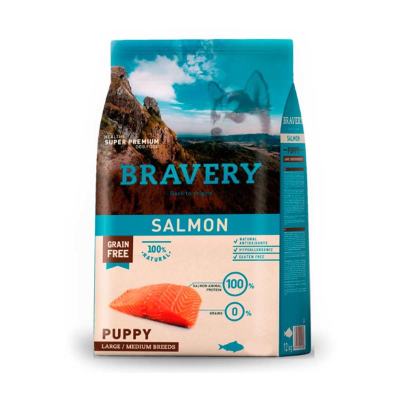 bravery-large-salmon-puppy