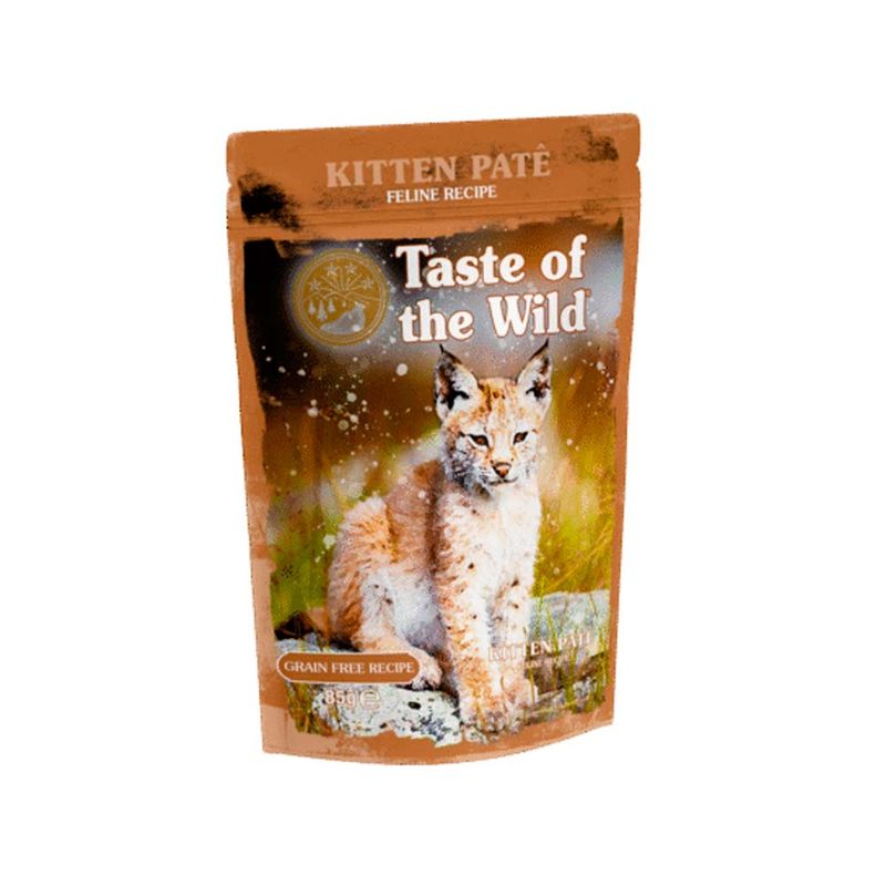 TOW-SOBRE-GATO-KITTEN--PATE-