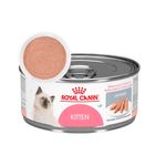 LATA-KITTEN-145-GR