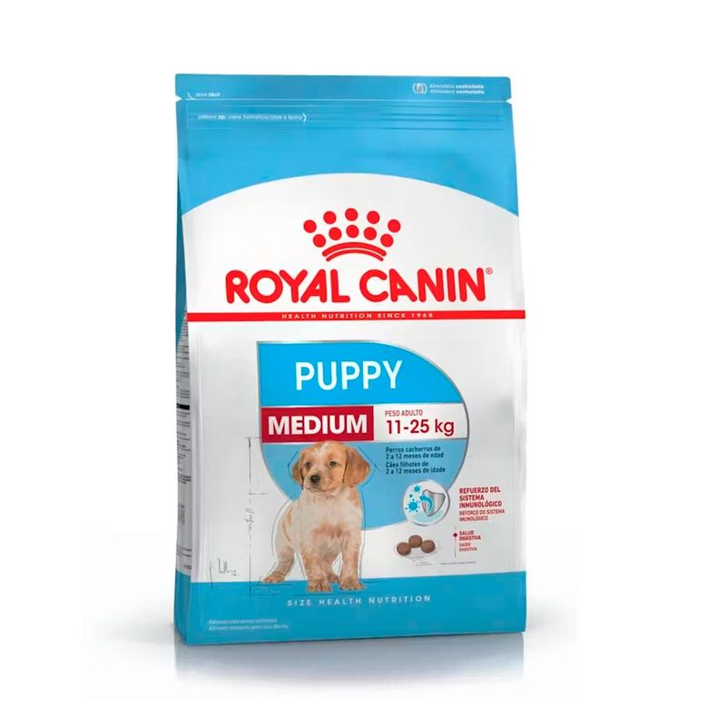 royal-medium-puppy