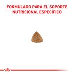 Copia de Royal Canin Gato Calm Feline 2kg-1759847106815